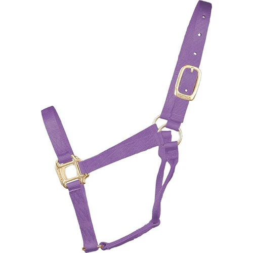 Hamilton Quality 1" Nylon Halter 8 Hamilton Quality 1" Nylon Halter - Image 6