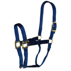 Hamilton Quality 1" Nylon Halter 13 Hamilton Quality 1" Nylon Halter -Equestrian Supplie Store quality 1in nylon halter navy 1Q NV hamilton 21719.1685666724