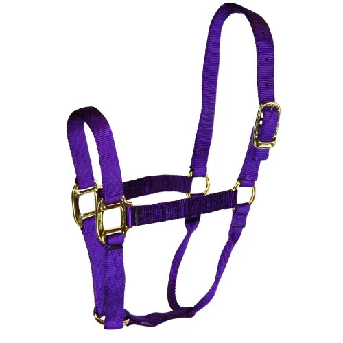 Hamilton Quality 1" Nylon Halter 4 Hamilton Quality 1" Nylon Halter - Image 2