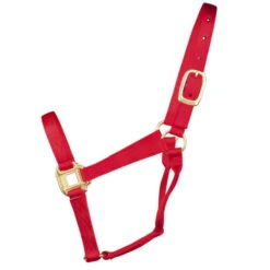 Hamilton Quality 1" Nylon Halter 19 Hamilton Quality 1" Nylon Halter -Equestrian Supplie Store quality 1in nylon halter red 1Q hamilton 12014.1685665705