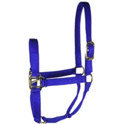 Hamilton Quality 1" Nylon Halter 15 Hamilton Quality 1" Nylon Halter -Equestrian Supplie Store quality 1in nylon halter royal 1Q hamilton 95898.1685665741