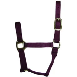 Hamilton Quality 1" Nylon Halter 14 Hamilton Quality 1" Nylon Halter -Equestrian Supplie Store quality 1in nylon halter wine 1QWN hamilton 54194.1685665738