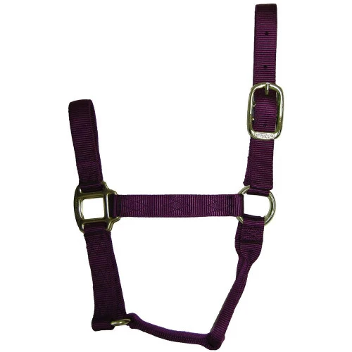Hamilton Quality 1" Nylon Halter 6 Hamilton Quality 1" Nylon Halter - Image 4