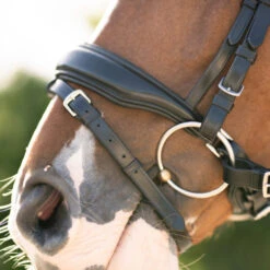 Red Barn Topline Snaffle Bridle -Equestrian Supplie Store rb topline snaffle bridle black detail 110612 kl select 36707.1689117918