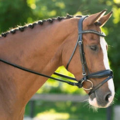 Red Barn Topline Weymouth Bridle -Equestrian Supplie Store rb topline snaffle bridle black hero 110612 kl select 84324.1685719588