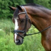 Red Barn Pace Snaffle Bridle -Equestrian Supplie Store red barn pace snaffle bridle black left kl select 22871.1605304296