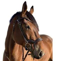 Halter Ego Remington Anatomical Jumper Bridle -Equestrian Supplie Store remington bridle brown right halter ego 33128.1687997744