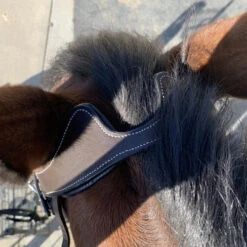 Halter Ego Remington Anatomical Jumper Bridle -Equestrian Supplie Store remington bridle crown halter ego 46060.1687997799