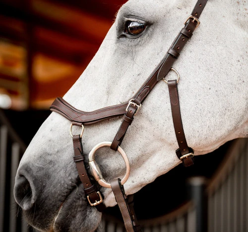 Horseware Ireland Horseware Micklem 2 Competition Bridle 6 Horseware Ireland Horseware Micklem 2 Competition Bridle - Image 4