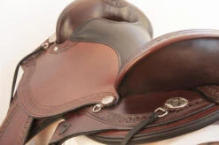 Circle Y Sheridan Flex2 Trail Saddle 1572 -Equestrian Supplie Store sheridan left 1572 circle y 77884.1572395404