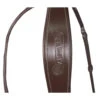 Signature By Antarès Flash Bridle -Equestrian Supplie Store signature flash bridle brown headband SIGOB BRD1 antares 44409.1644011054