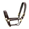 Walsh Signature Pony Halter 1 Walsh Signature Pony Halter -Equestrian Supplie Store signature halter havana brown brass walsh 17538.1557953983
