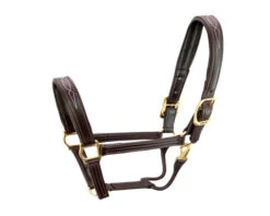 Walsh Signature Pony Halter