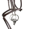 Signature By Antarès Training Bridle -Equestrian Supplie Store signature training bridle brown cheek with bit SIGOB BRD2 antares 84353.1674091349