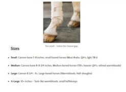 Euro Pro Askan Tall Hind Boot -Equestrian Supplie Store size guide euro pro 38563.1601669881