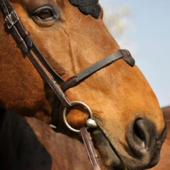 In Horse We Trust Soft T Noseband With Flash -Equestrian Supplie Store soft t noseband havana side SOFT T NOSEBAND in horse we trust 09753.1658872130