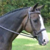 Red Barn Spirit Hunter Bridle -Equestrian Supplie Store spirit bridle 2 red barn 45481.1568765251