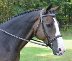Red Barn Spirit Hunter Bridle -Equestrian Supplie Store spirit bridle 2 red barn 52524.1568765828