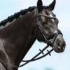 PASSIERBLU Spirit Snaffle Bridle -Equestrian Supplie Store spirit snaffle passierblu black horse 825 passier 24710.1690320796