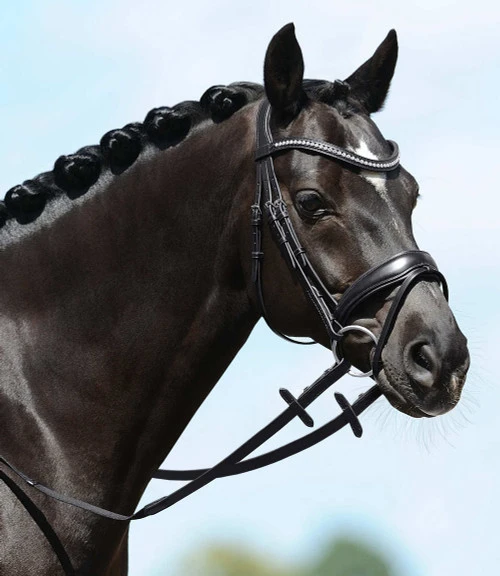 PASSIERBLU Spirit Snaffle Bridle 3 PASSIERBLU Spirit Snaffle Bridle