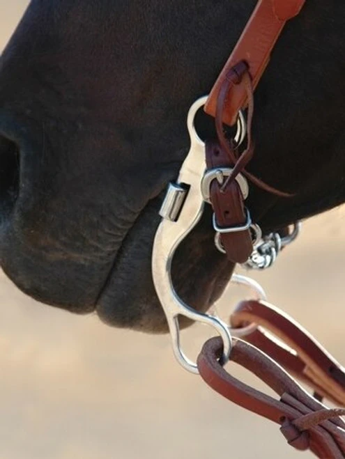 Classic Equine Stainless Steel Short Shank Correction Bit 3 Classic Equine Stainless Steel Short Shank Correction Bit