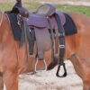 Cashel Step Up Stirrup 2 Cashel Step Up Stirrup -Equestrian Supplie Store step up stirrup black saddle SOS chasel 67097.1674772523