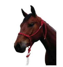 Double Diamond 100 Stiff Rope Halter