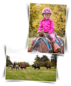 BOOMA Rein Safety Rein -Equestrian Supplie Store story 18086 04407.1527296824