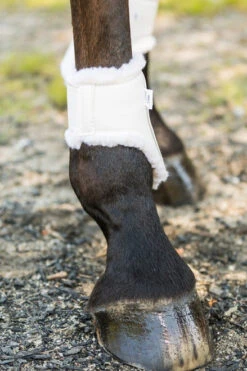 Euro Pro Thor Ankle Boots -Equestrian Supplie Store thor ankle boot white euro pro 30973.1601671100