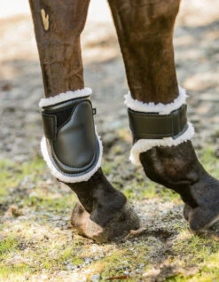 Euro Pro Thor Ankle Boots -Equestrian Supplie Store thor ankle boots black euro pro 11905.1601671096