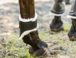 Euro Pro Thor Ankle Boots -Equestrian Supplie Store thor ankle boots black white euro pro 94012.1601671098