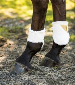 Euro Pro Thor Ankle Boots -Equestrian Supplie Store thor ankle boots white euro pro 44795.1601671103