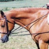 Tory Leather Draw Reins With Loop End -Equestrian Supplie Store tory leather draw reins with loop end 12 25543 83058.1527303838