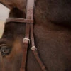 KL Select Tucson Bridle 1 KL Select Tucson Bridle -Equestrian Supplie Store tucson bridle crown side kl select 79645.1671503452