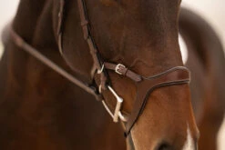 KL Select Tucson Bridle -Equestrian Supplie Store tucson bridle cavesson cheek kl select 96197.1671503435