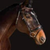 Halter Ego Tuscany Rolled Snaffle Bridle 2 Halter Ego Tuscany Rolled Snaffle Bridle -Equestrian Supplie Store tuscany rolled snaffle blk.cognac TUSCANY halter ego 27763.1682624923