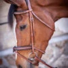 PÉNÉLOPE Pénélope US Bridle -Equestrian Supplie Store us bridle hazelnut 301 602 318 penelope 31395.1688760854