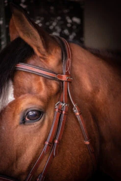 PÉNÉLOPE Pénélope US Bridle -Equestrian Supplie Store us bridle hazelnut brow crown 301 602 318 penelope 08645.1688760552