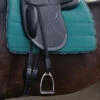 Passier Velvet Touch Mono Stirrup Leathers -Equestrian Supplie Store velvet touch mono leather saddle 030 passier 36176.1684543409