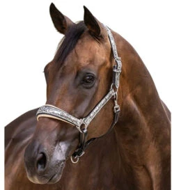 Halter Ego Venetian Floral Halter -Equestrian Supplie Store venetian floral halter slvr crm halter ego 46536.1682705257
