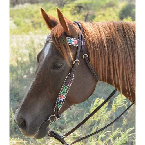 Circle Y Vibrant Garden Brow Headstall 3 Circle Y Vibrant Garden Brow Headstall