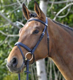 Stubben Waterford Bridle With Flash